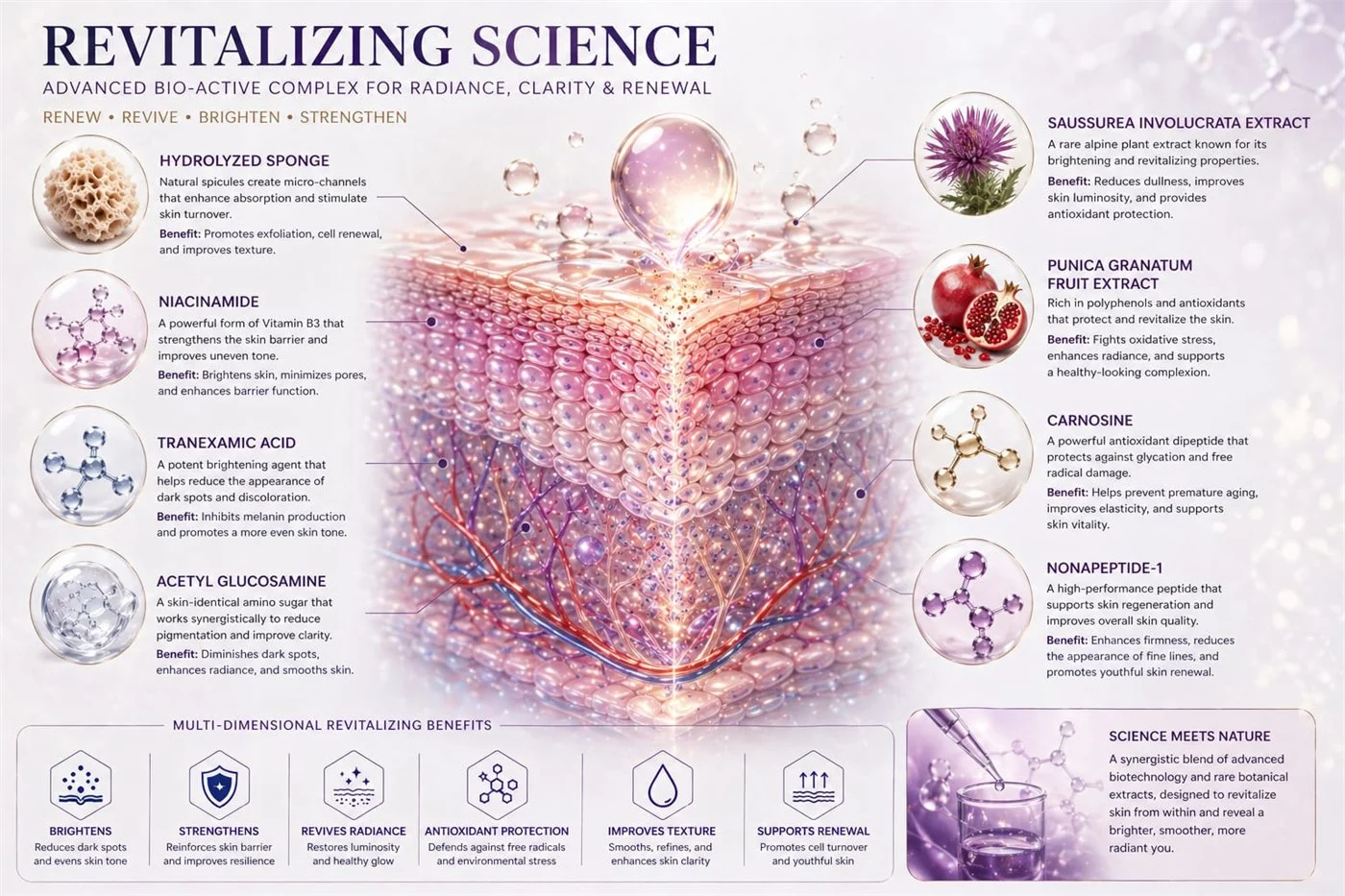Ingredients in the SQT revitalizing complex — hydrolyzed sponge spicules, niacinamide, tranexamic acid, acetyl glucosamine, saussurea involucrata, pomegranate extract, carnosine and nonapeptide-1 — and what SQT lists each as contributing.